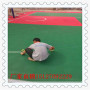 熱塑地板湖北荊州 軟塑懸浮拼裝籃球場廠家