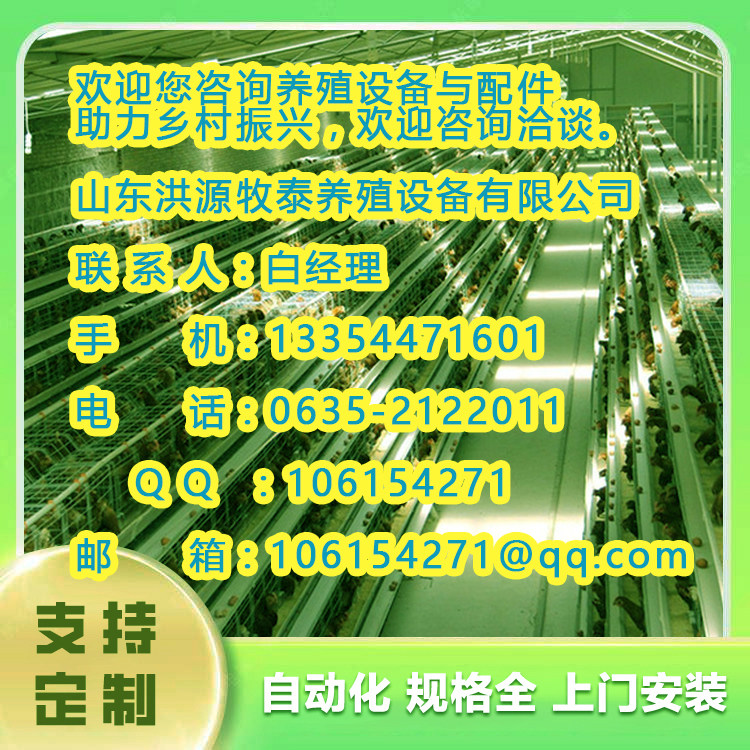 石泉县养鸡场设施设备新信2024