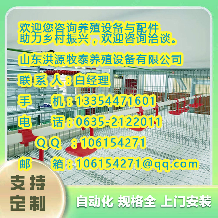 辉县市蛋鸡的养殖技术设备2024年新
