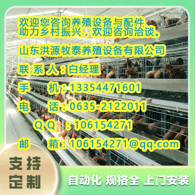 西吉县蛋鸡自动化养殖设备价格新信2024