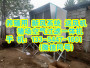 雅安雨城区猪场空气过滤一体机 雅安雨城区养猪场空气过滤一体机 养殖用送风机