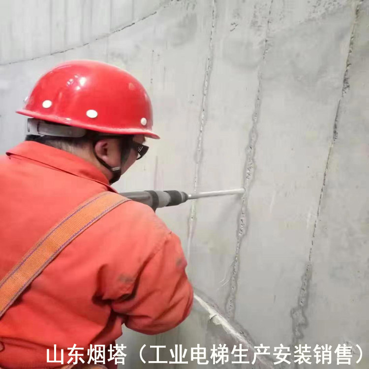 湖南省工業電梯-姜堰市吸收塔電梯施工單位-【專利】