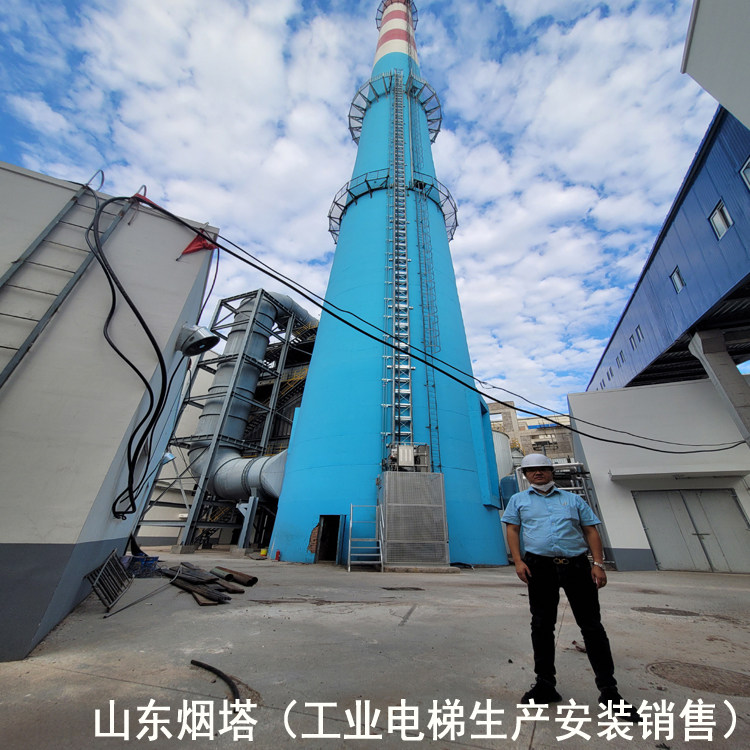 漳县脱硫塔工业升降电梯——山东烟塔公司——订制电梯