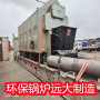 12噸環保生物質熱水鍋爐忻州市客戶推薦遠大鍋爐制造商創新服務