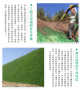 青海黄南软式透水管厂家软式透水管<2024+排名一览>