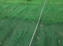 湖南永州膨润土防水毯厂家膨润土防水毯<2024+排名一览>