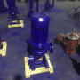 LWB300-800-12-45 濱州立式排污泵價格