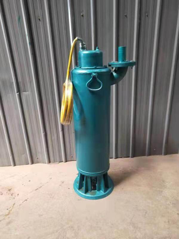BQS80-25-15/B  QXN20-100-13100米高扬程污水泵